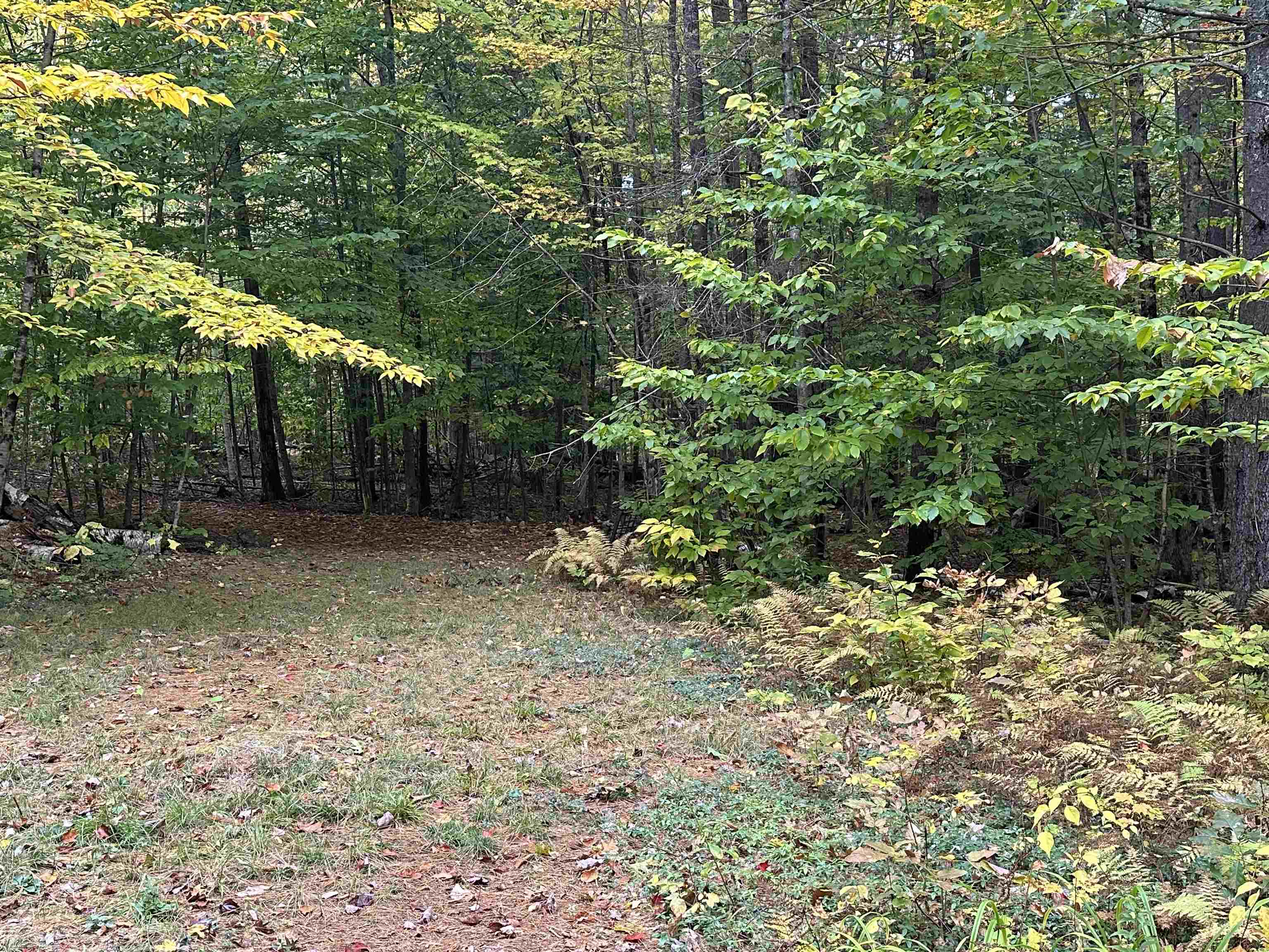 87 Juniper Ledge Road Chocorua, NH 03817 - Photo 2 of 5 Gallery Image 2