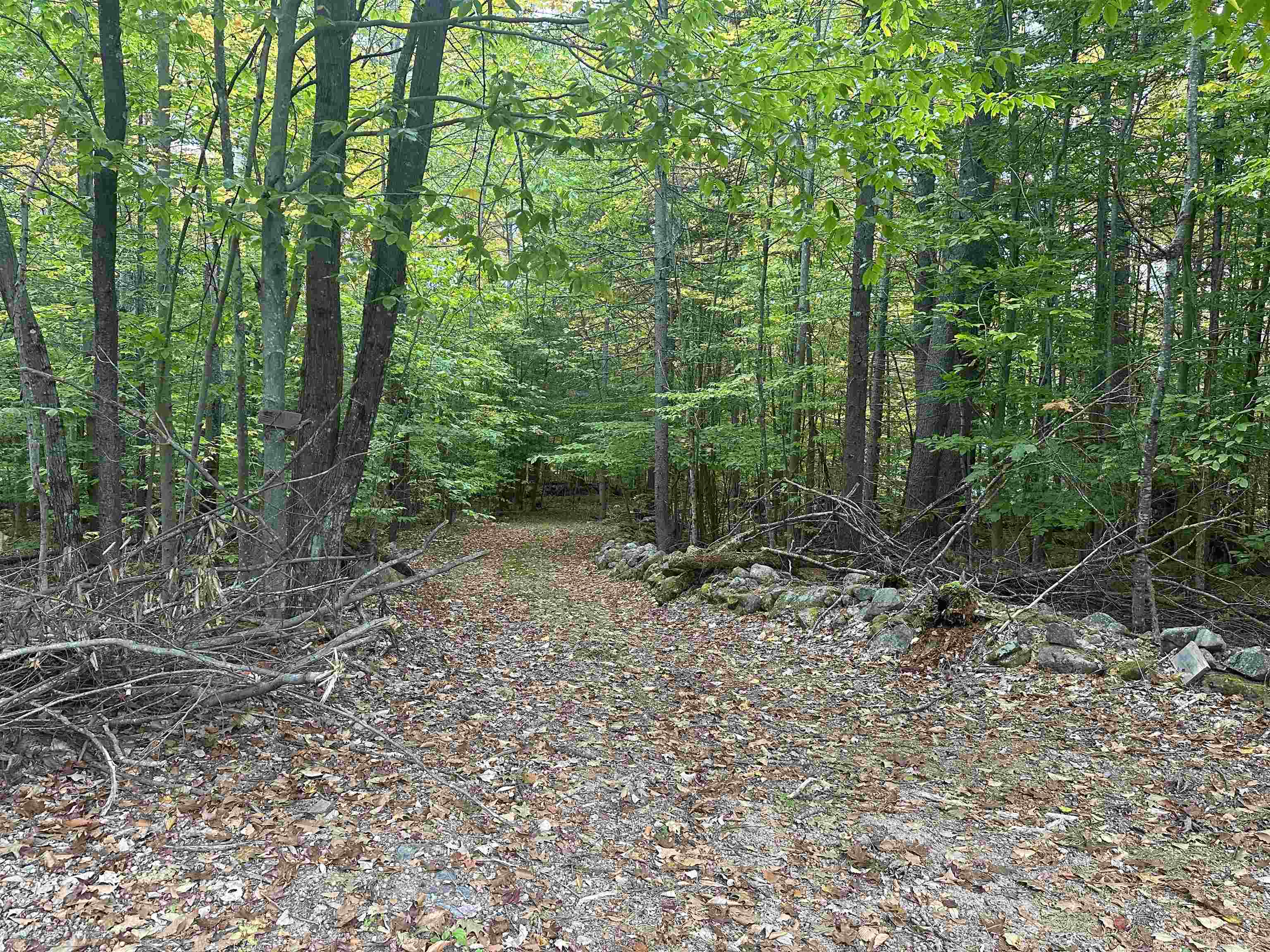 87 Juniper Ledge Road Chocorua, NH 03817 - Photo 3 of 5 Gallery Image 3