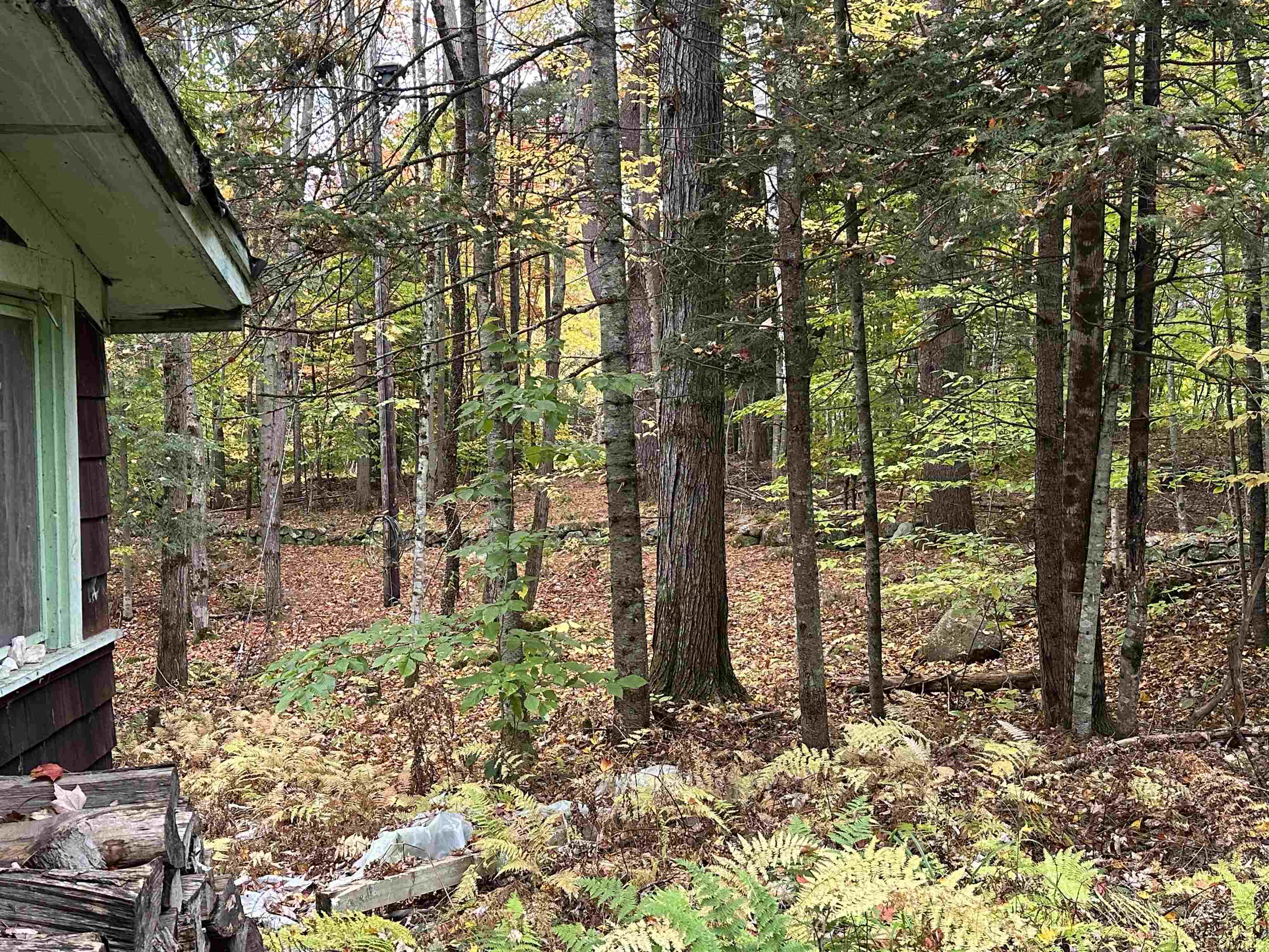 87 Juniper Ledge Road Chocorua, NH 03817 - Photo 5 of 5 Gallery Image 5