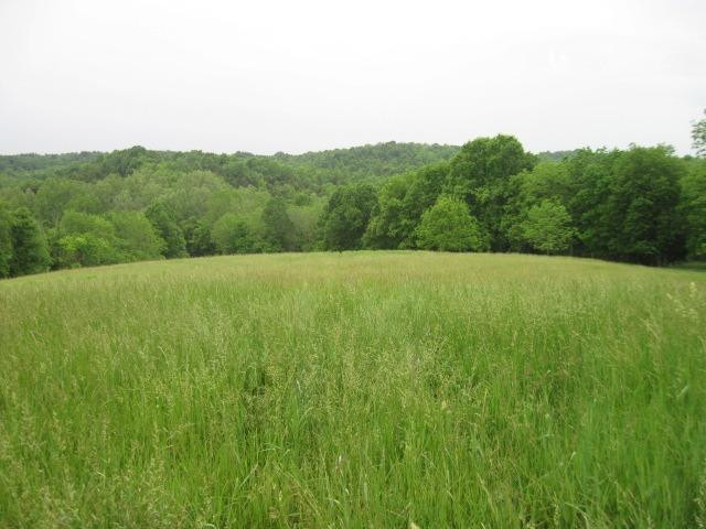 0 Stringtown Weber Corinth, KY 41010 - Photo 7 of 16 Gallery Image 7