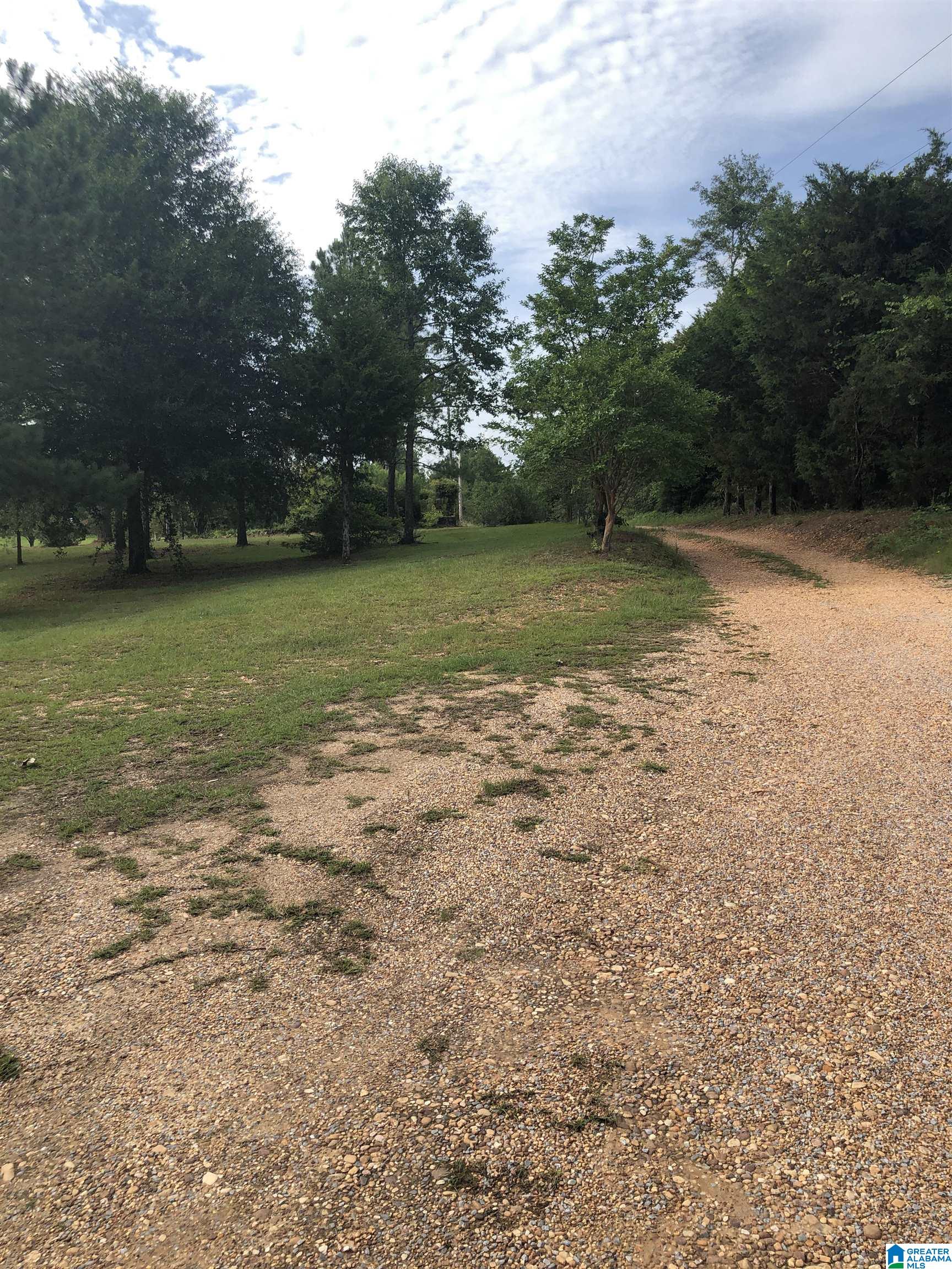 439 County Road 230 Clanton, AL 35045 - Photo 21 of 22