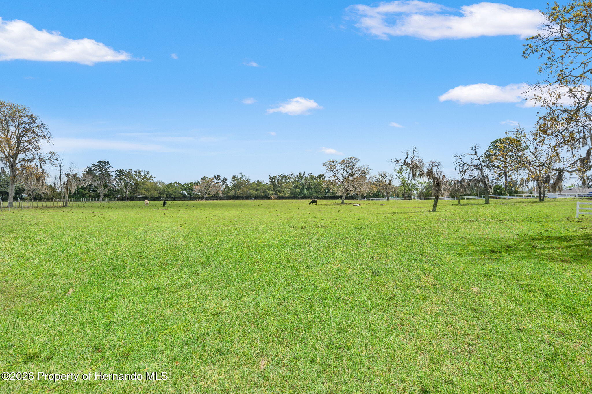 0 Gloucester Road Spring Hill, FL 34604 - Photo 37 of 47