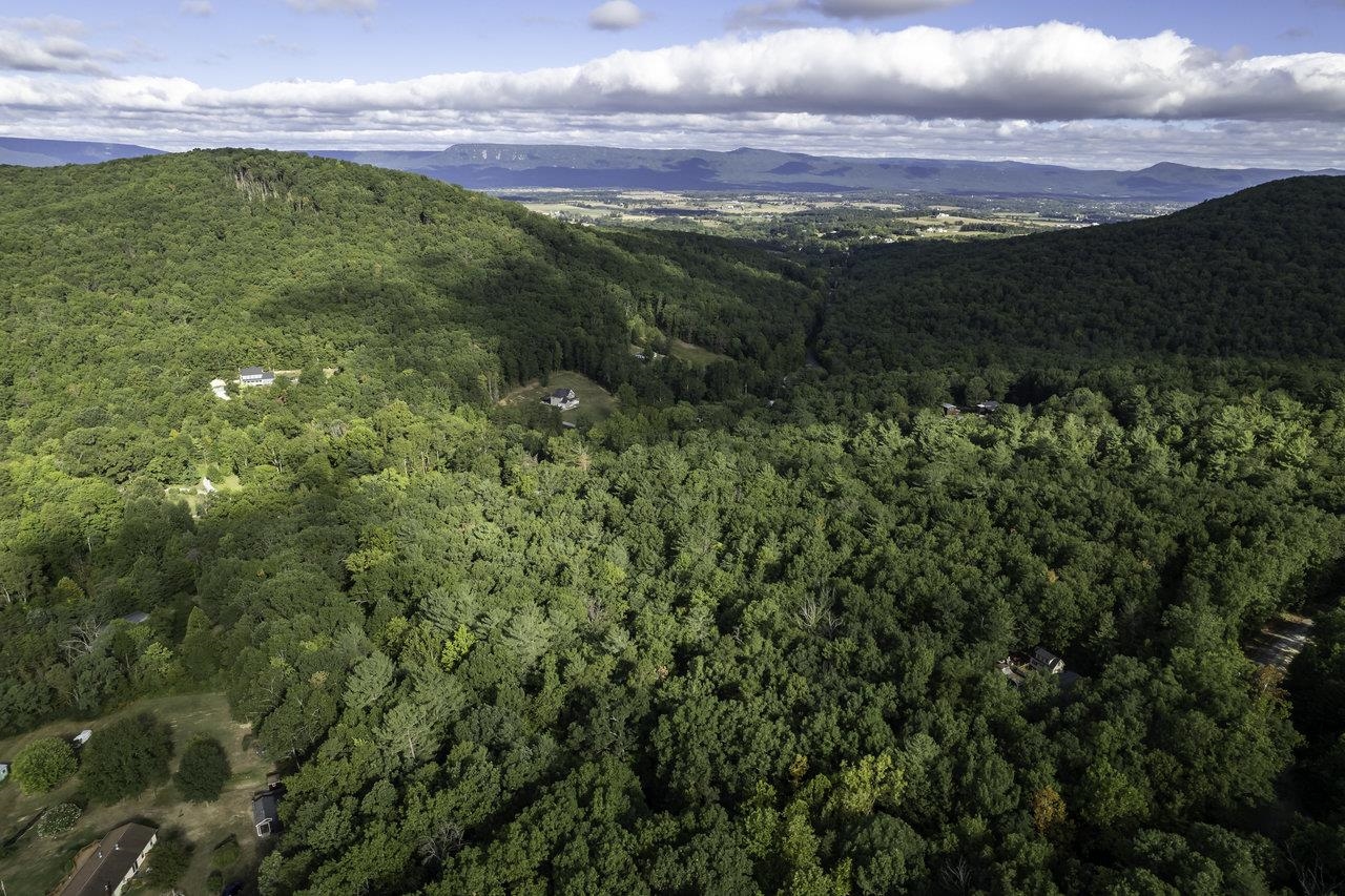 Lot D3 Holiday Hill Road Luray, VA 22835 - Photo 10 of 32