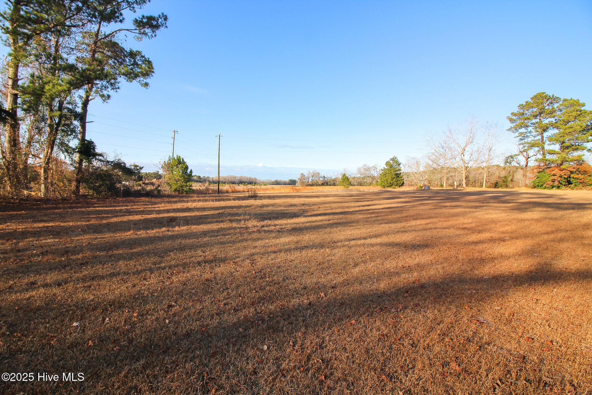 181 Pinetop Road Newport, NC 28570 - Photo 3 of 5 IMG_5970