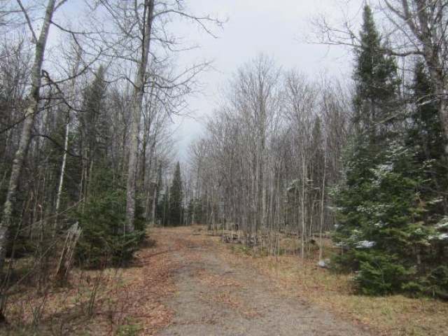 Lot 3 Timberline Road Mercer, WI 54547 - Photo 1 of 9 Gallery Image 1