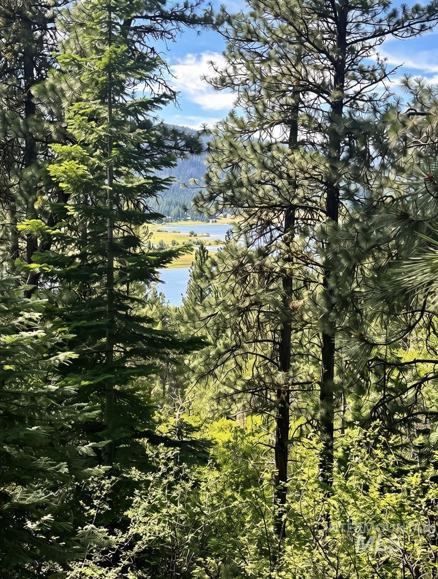 459 Collier View Road Cascade, ID 83611 - Photo 3 of 5
