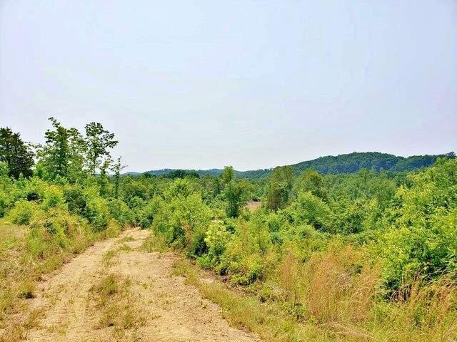 169 County Road 188 Decatur, TN 37322 - Photo 9 of 24