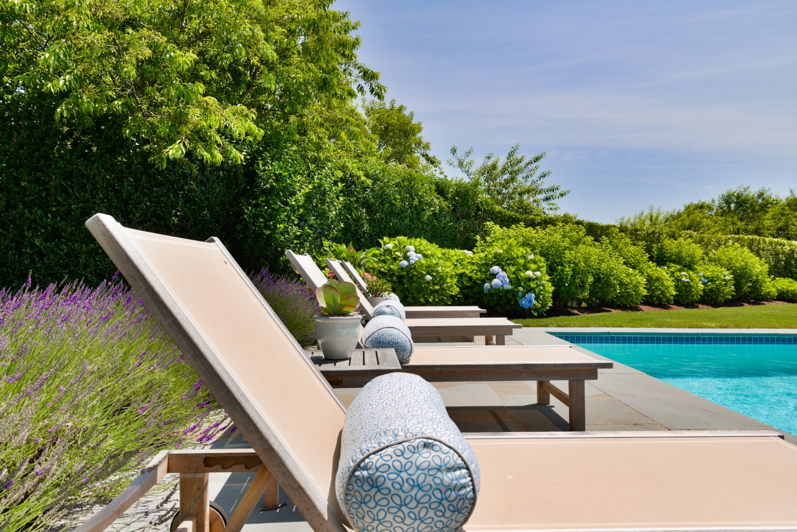 97 Cliff Road Nantucket, MA 02554 - Photo 14 of 78 Gallery Image 14