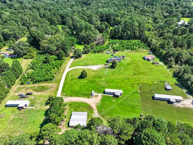 a view of a garden with a plants and covered trees