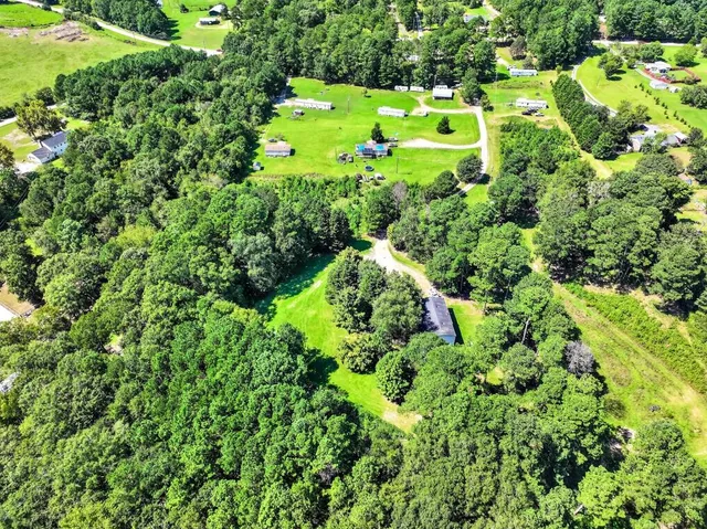a view of a garden with plants