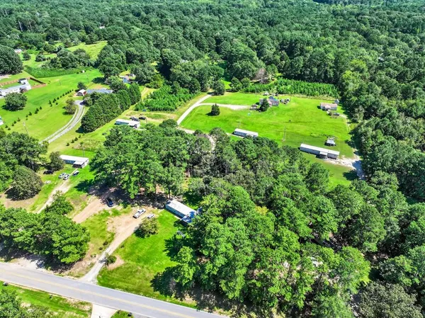 a green field with lots of trees