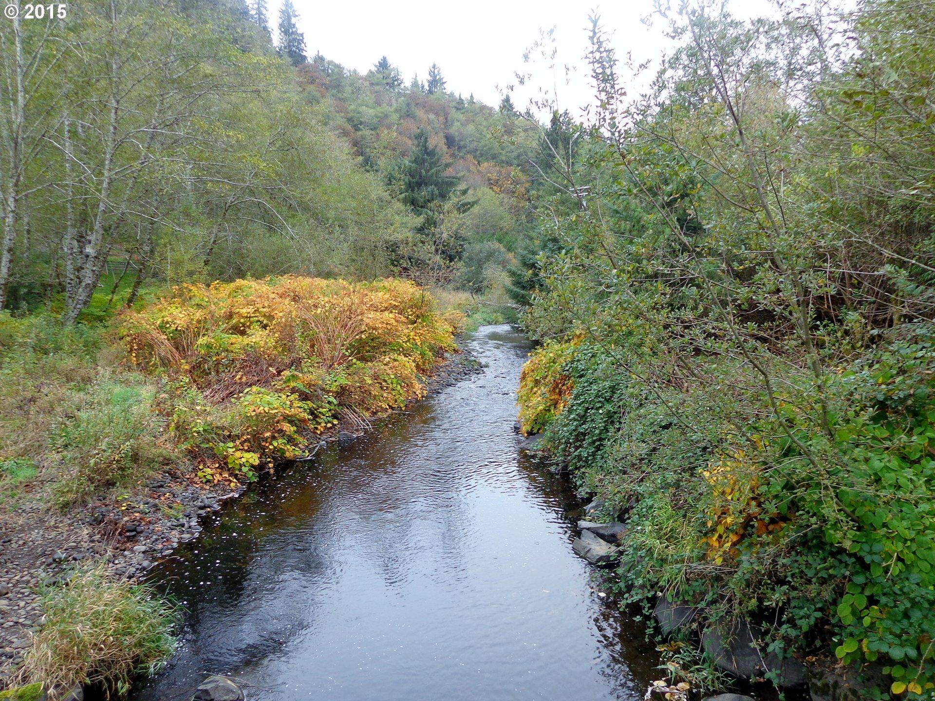 22505 Highway 101 South Beaver, OR 97112 - Photo 15 of 30 BeaverCreek