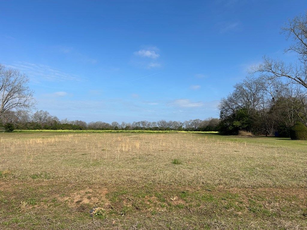 17.99-ac 17.99-ac Wicksburd Road Newton, AL 36352 - Photo 10 of 22