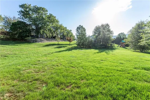 a view of a field with trees in the background