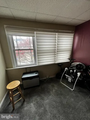 a room with furniture and potted plant
