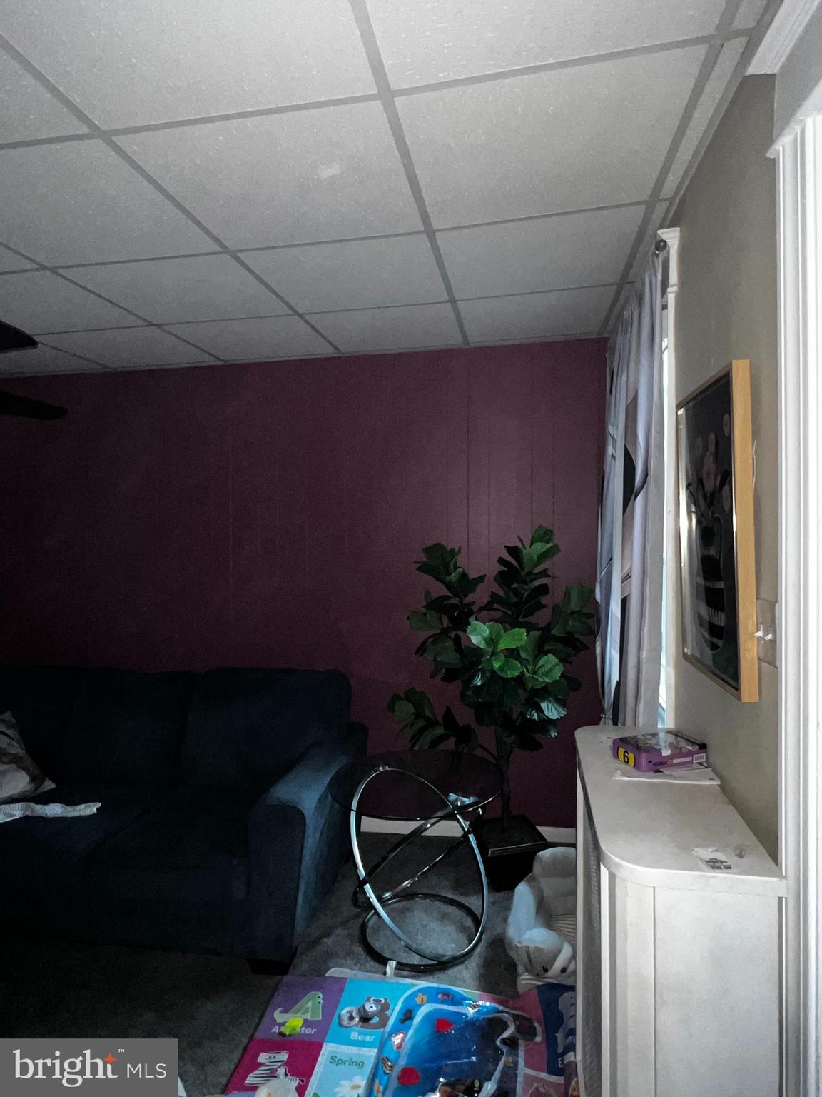 7146 Marsden Street Philadelphia, PA 19135 - Photo 5 of 22 a room with furniture and potted plant