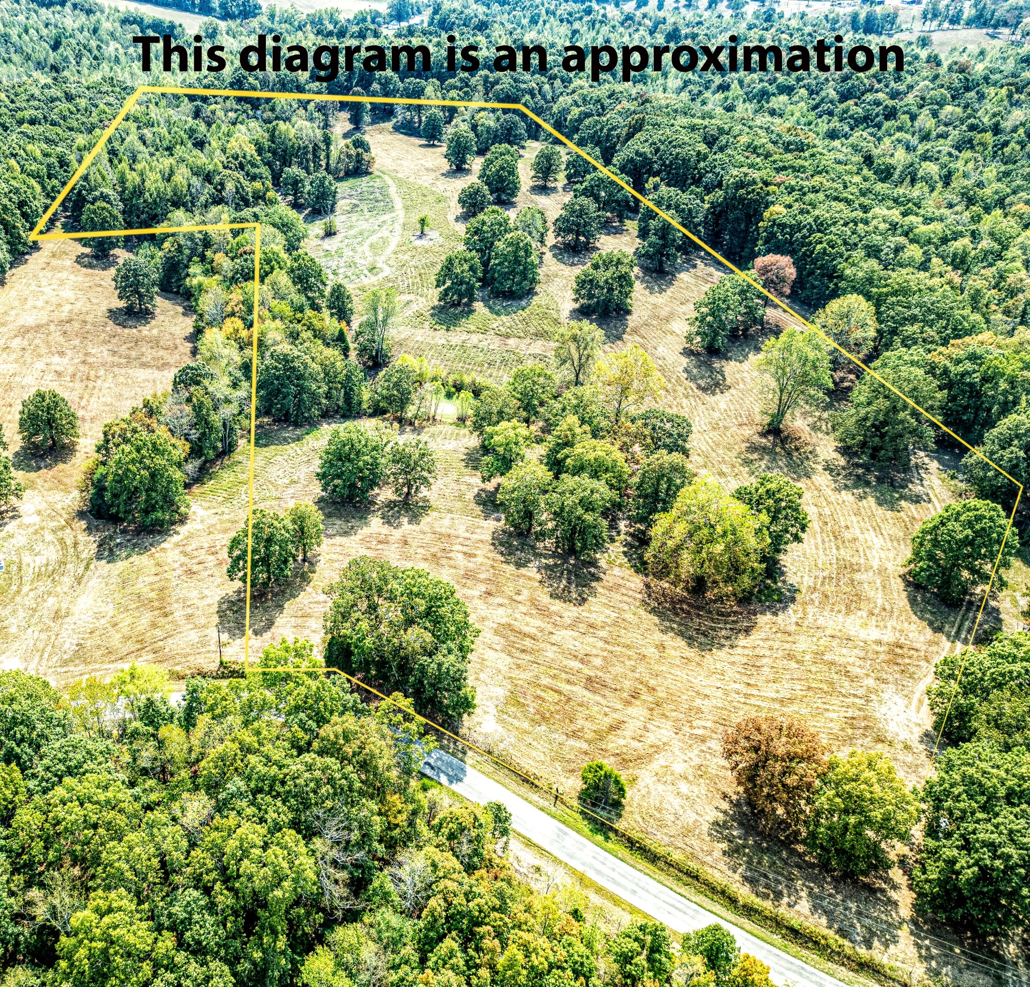 0 Darrell Rye Road Erin, TN 37061 - Photo 1 of 10 a view of a garden with a lake