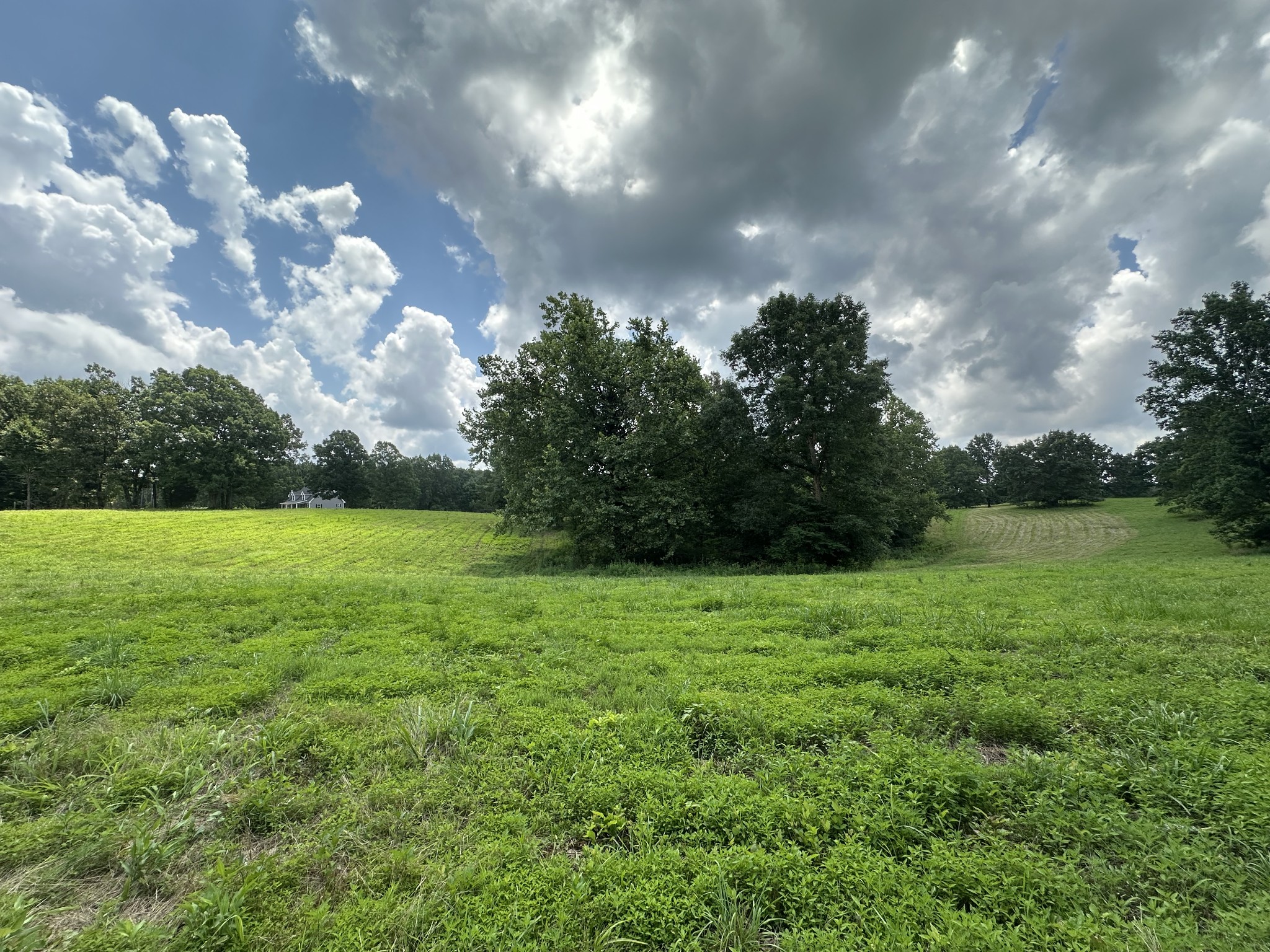 0 Darrell Rye Road Erin, TN 37061 - Photo 5 of 10 a view of a big yard