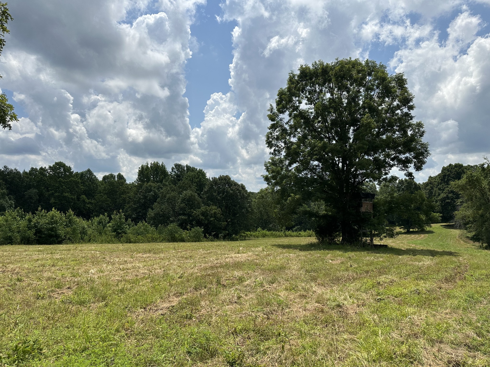 0 Darrell Rye Road Erin, TN 37061 - Photo 7 of 10 a view of a green field with wooden fence