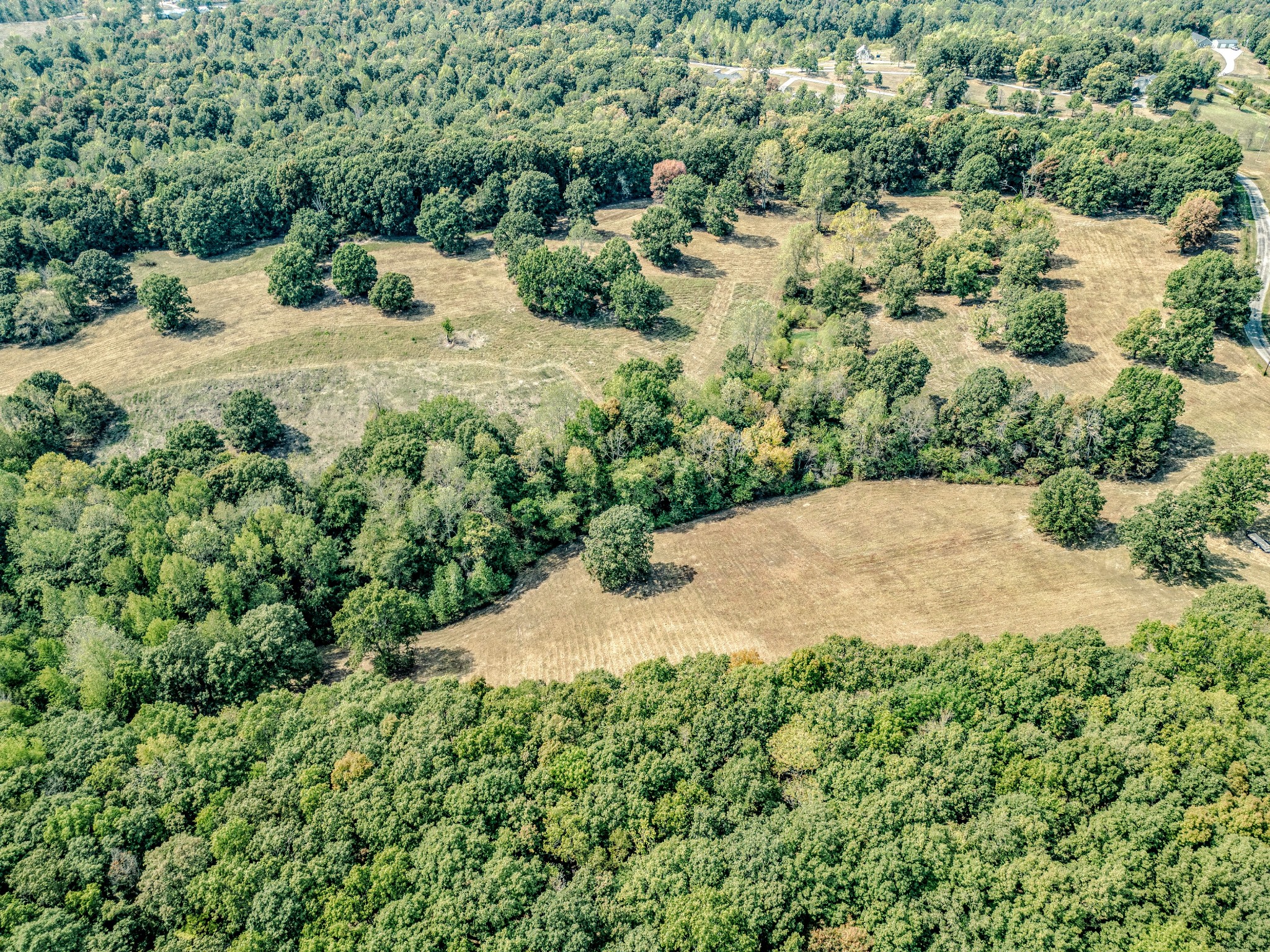0 Darrell Rye Road Erin, TN 37061 - Photo 9 of 10 a view of a backyard of a house