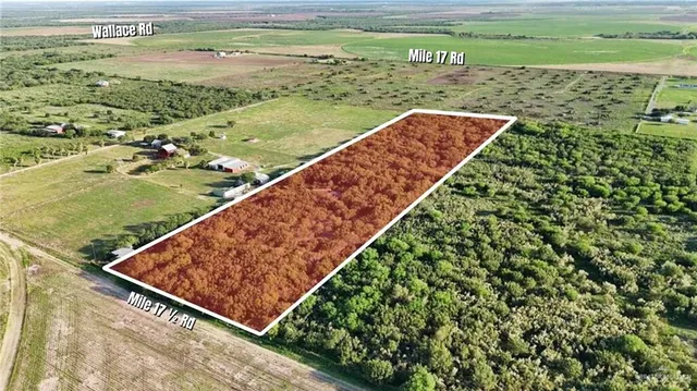 a view of a yard with wooden floor