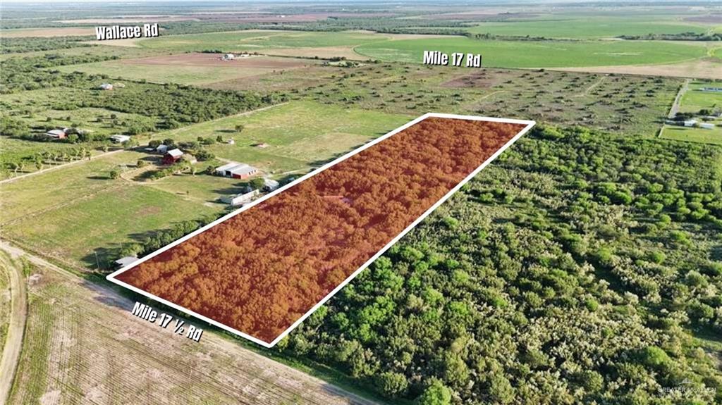 a view of a yard with wooden floor