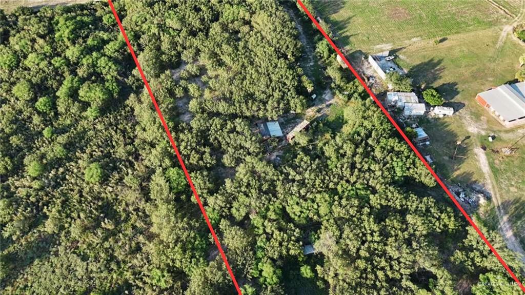 28551 Mile 17 1/2 Road Edinburg, TX 78541 - Photo 5 of 6 a picture of a tree