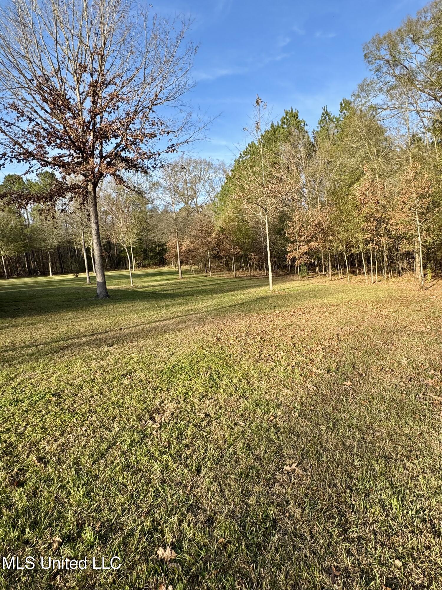 3293 Doloroso Loop Road Woodville, MS 39669 - Photo 24 of 44 IMG_0197