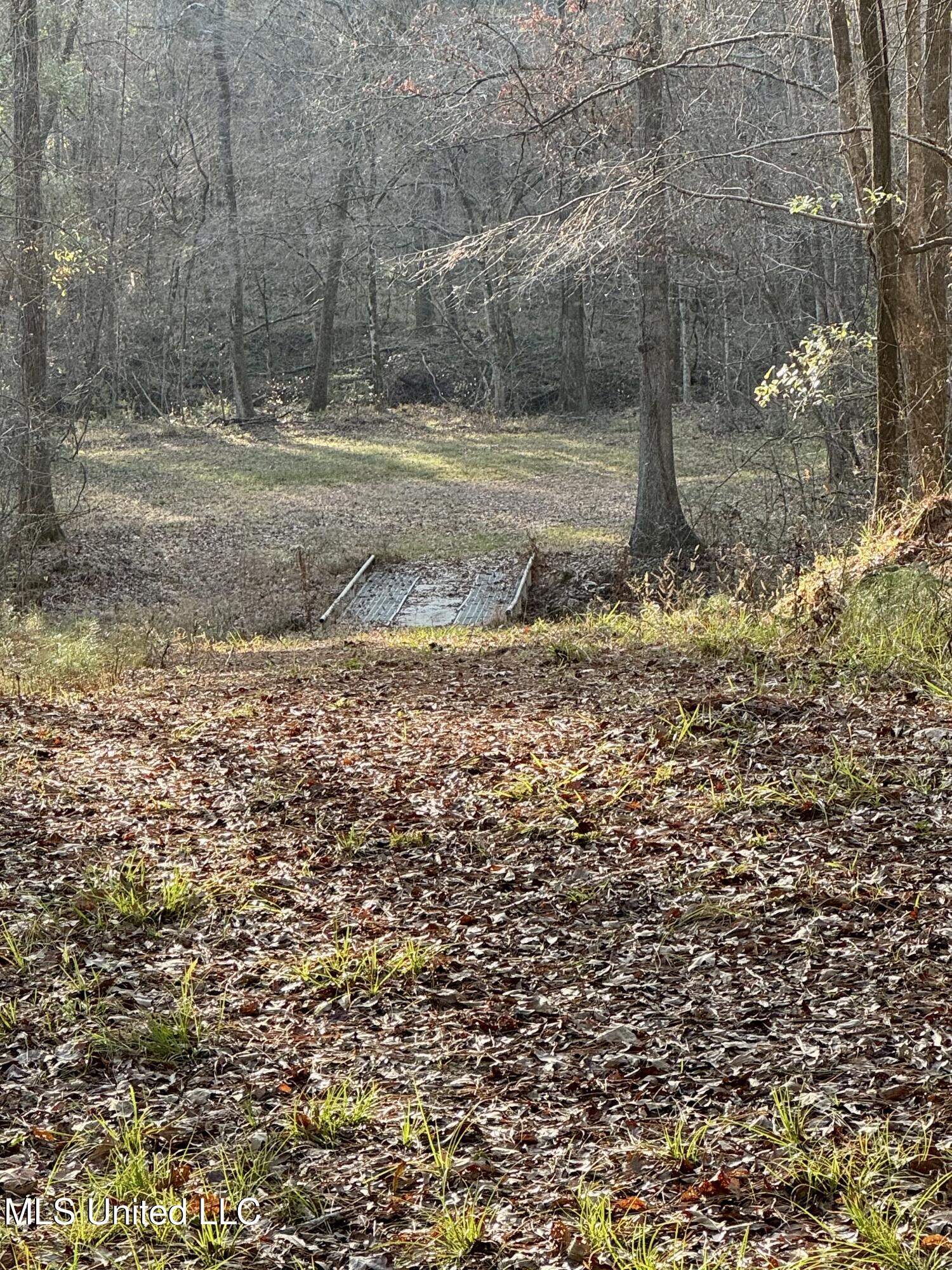 3293 Doloroso Loop Road Woodville, MS 39669 - Photo 25 of 44 IMG_0220