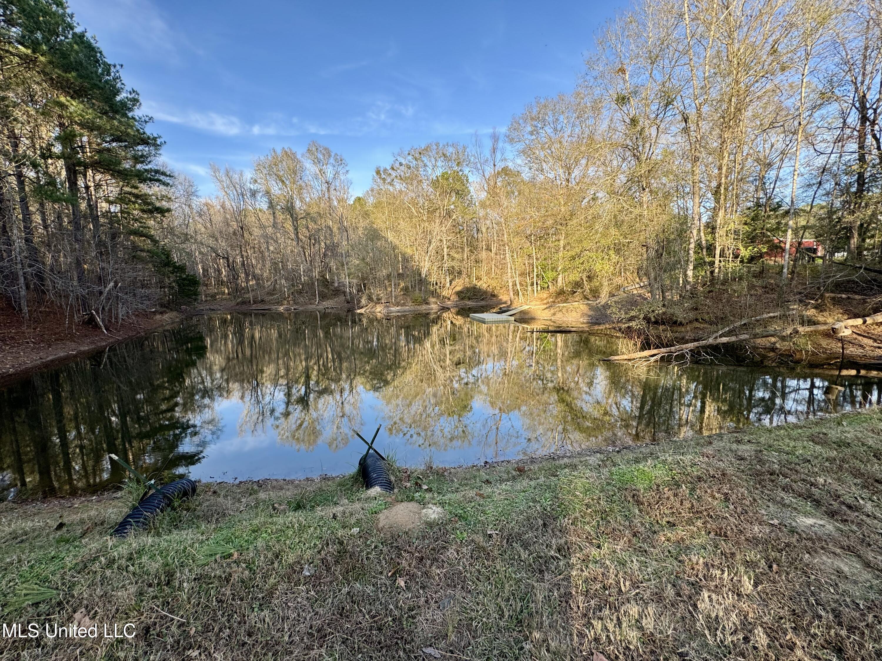 3293 Doloroso Loop Road Woodville, MS 39669 - Photo 27 of 44 IMG_0218