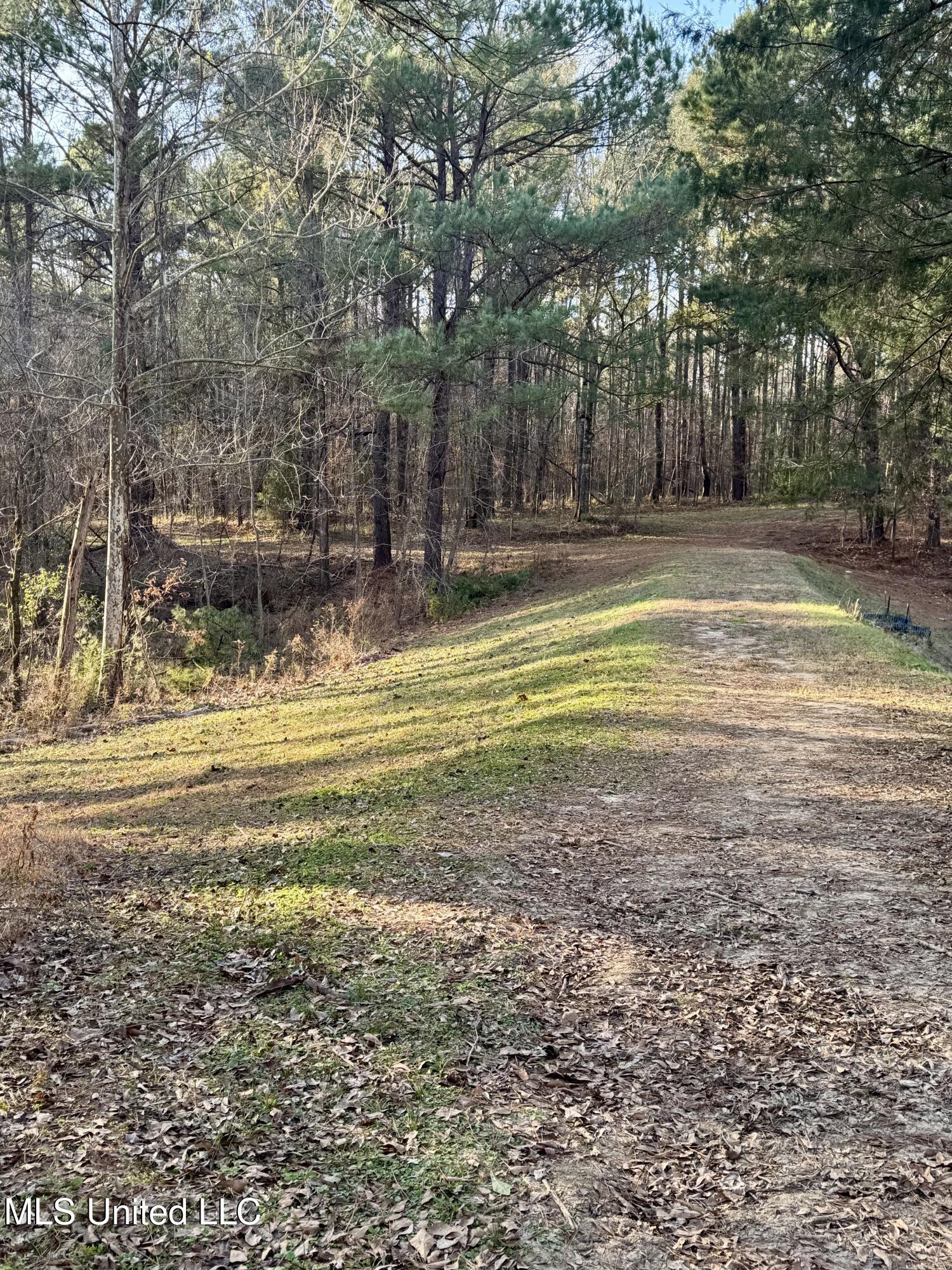 3293 Doloroso Loop Road Woodville, MS 39669 - Photo 28 of 44 IMG_0217