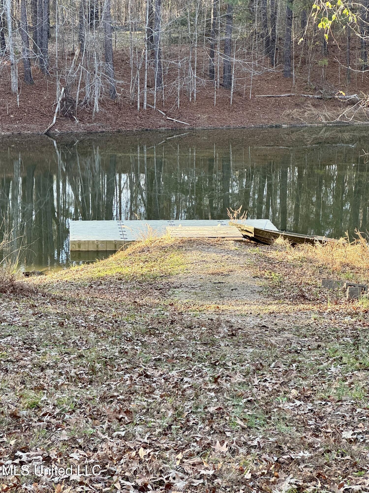 3293 Doloroso Loop Road Woodville, MS 39669 - Photo 29 of 44 IMG_0215