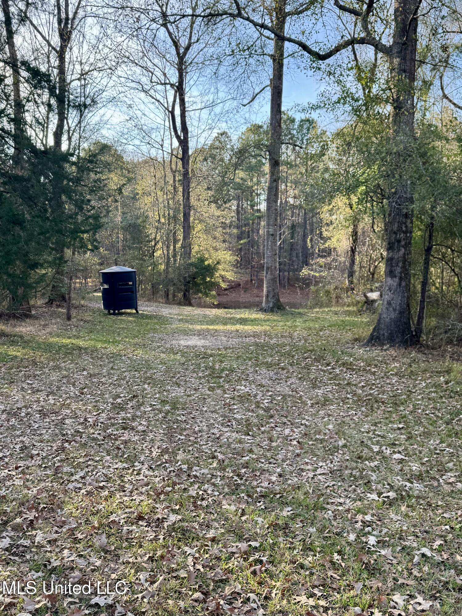 3293 Doloroso Loop Road Woodville, MS 39669 - Photo 30 of 44 IMG_0214