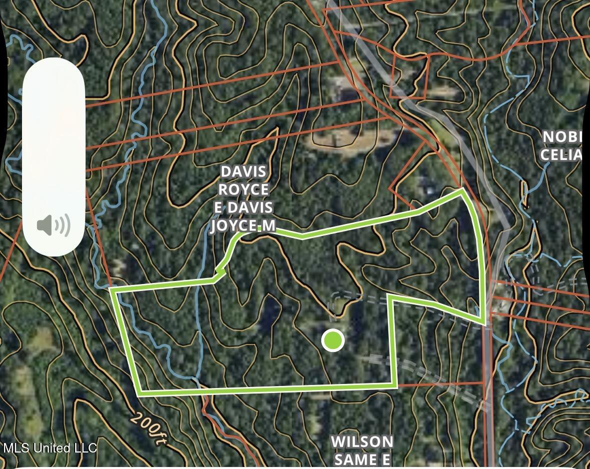 3293 Doloroso Loop Road Woodville, MS 39669 - Photo 32 of 44 IMG_0230