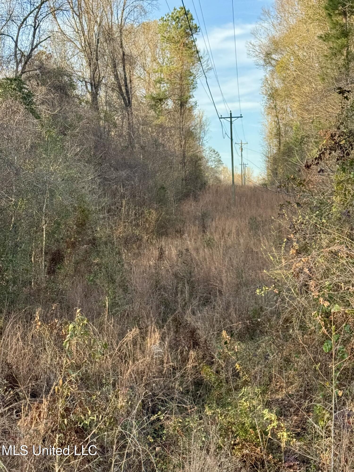 3293 Doloroso Loop Road Woodville, MS 39669 - Photo 33 of 44 IMG_0229