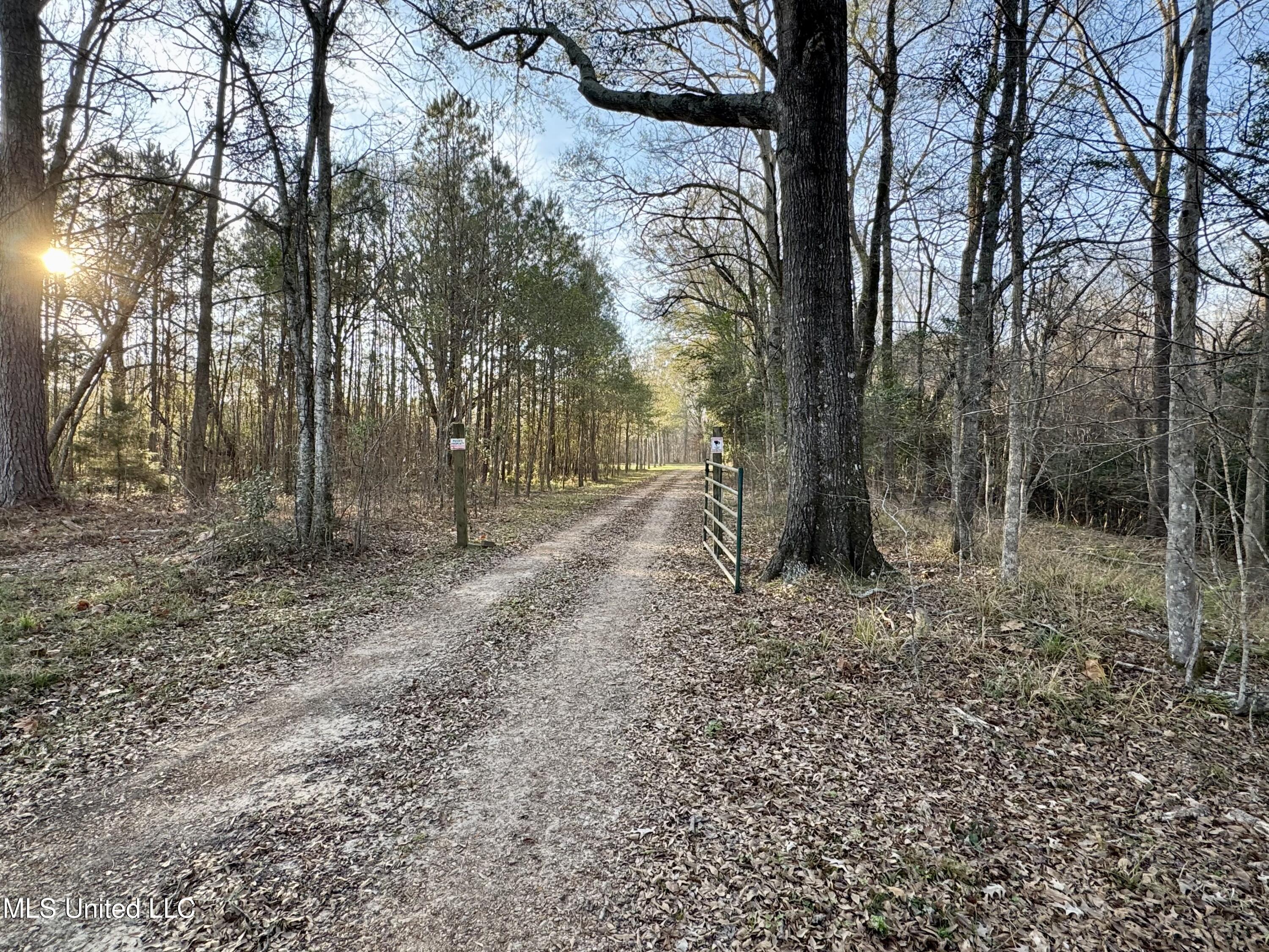 3293 Doloroso Loop Road Woodville, MS 39669 - Photo 34 of 44 IMG_0225