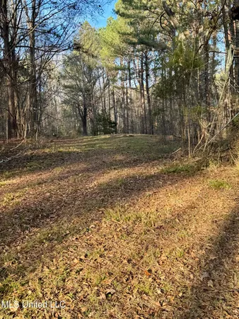 $549,000 | 3293 Doloroso Loop Road, Woodville, MS 39669