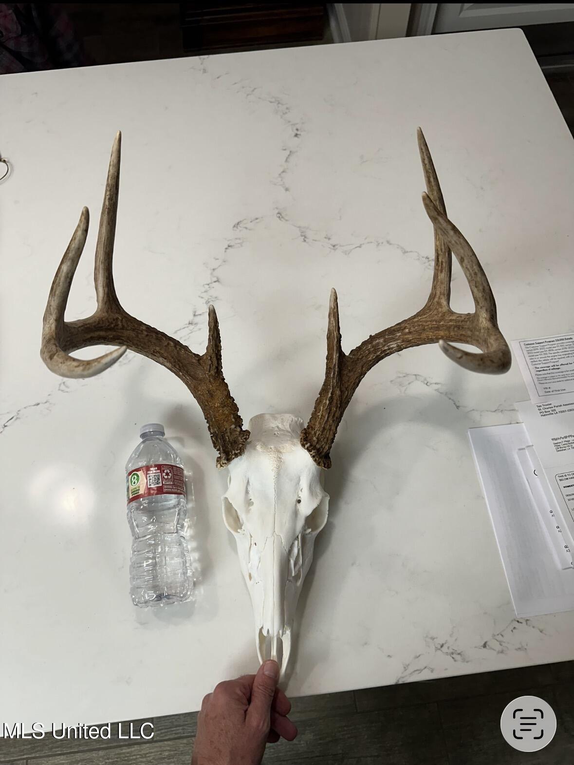 3293 Doloroso Loop Road Woodville, MS 39669 - Photo 41 of 44 FullSizeRender