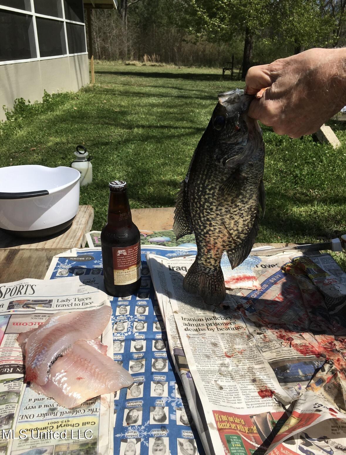 3293 Doloroso Loop Road Woodville, MS 39669 - Photo 42 of 44 FullSizeRender