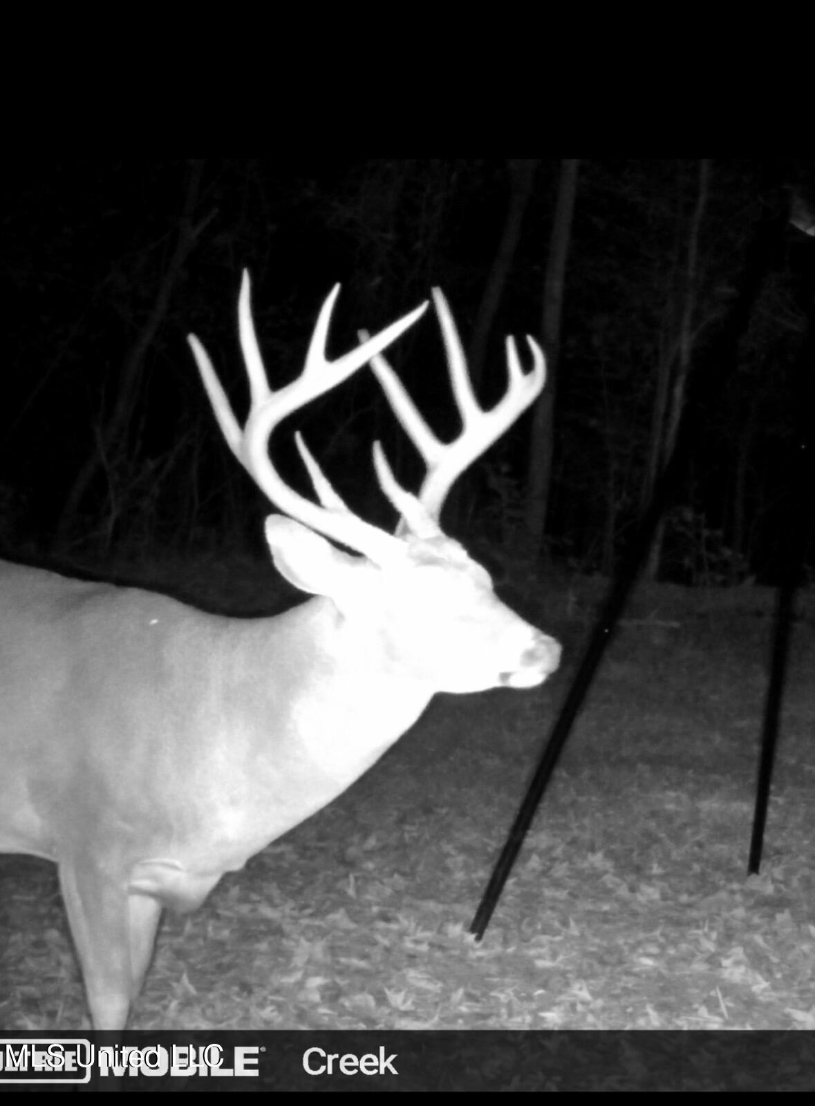 3293 Doloroso Loop Road Woodville, MS 39669 - Photo 44 of 44 FullSizeRender