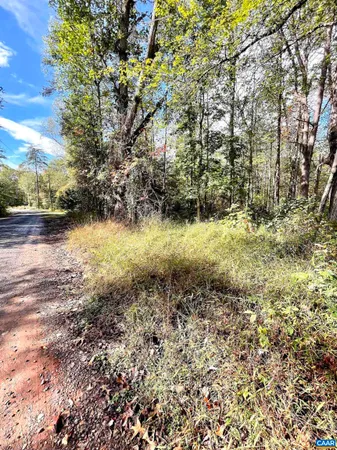 $99,000 | 0 Riverdale Road, Stanardsville, VA 22973