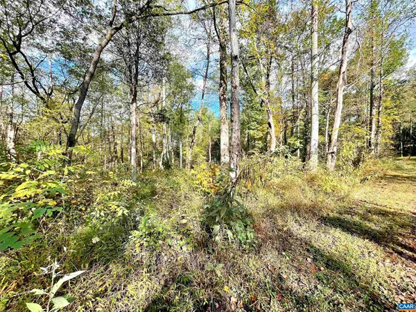 $99,000 | 0 Riverdale Road, Stanardsville, VA 22973