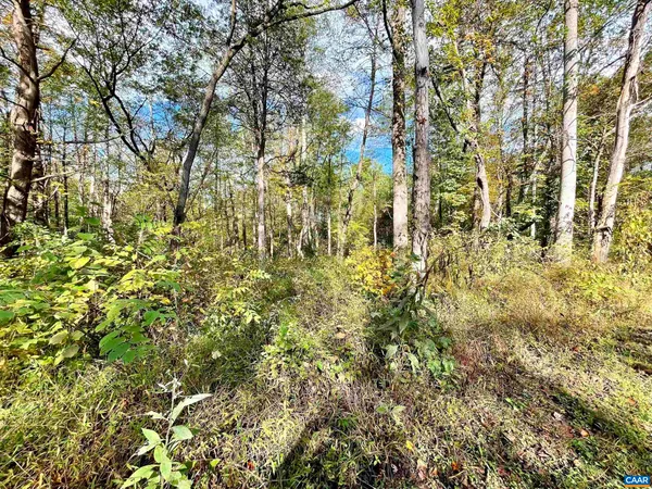 $99,000 | 0 Riverdale Road, Stanardsville, VA 22973