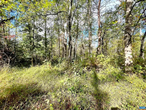 $99,000 | 0 Riverdale Road, Stanardsville, VA 22973