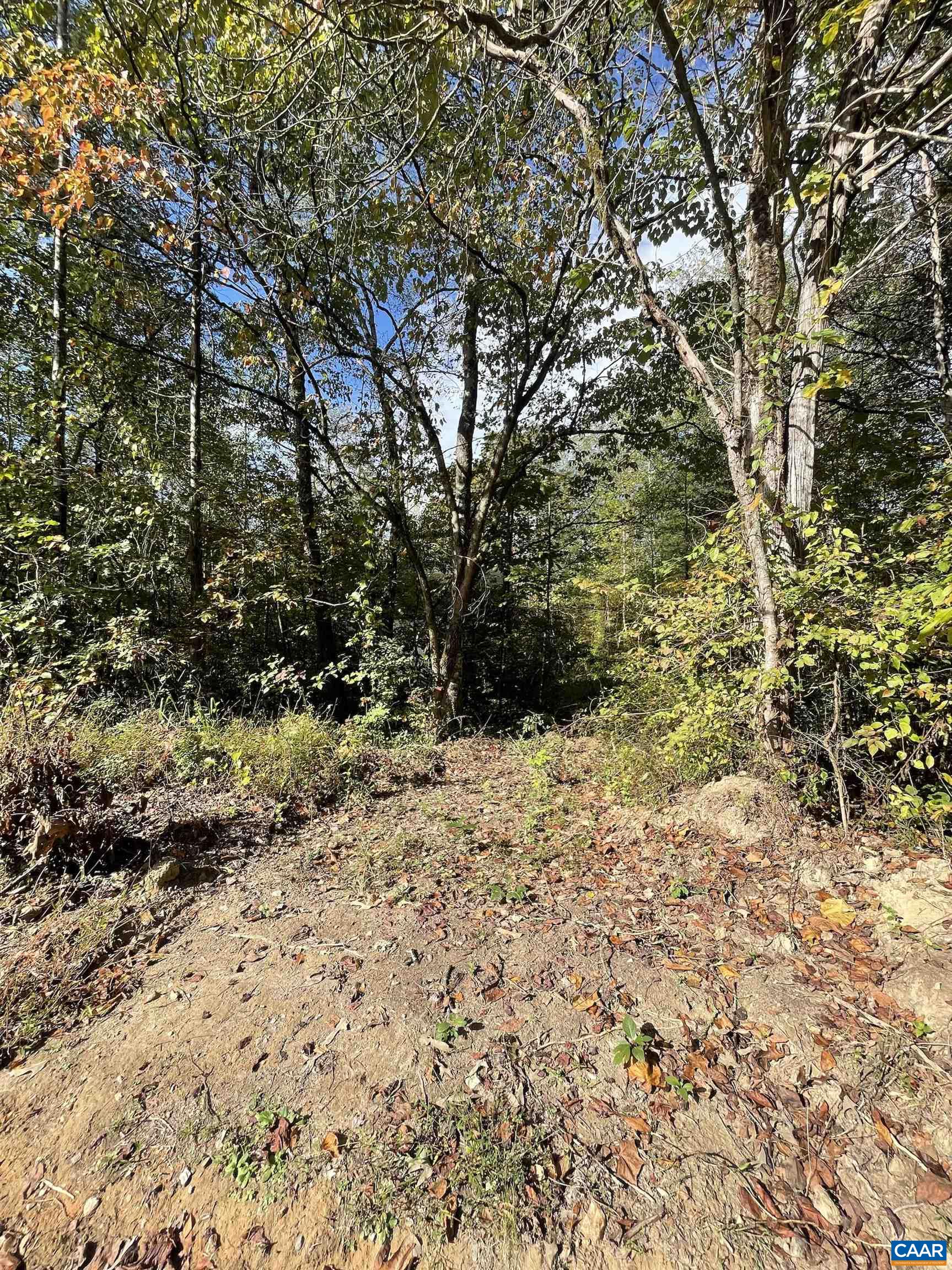 0 Riverdale Road Stanardsville, VA 22973 - Photo 7 of 12 a view of a yard with a tree