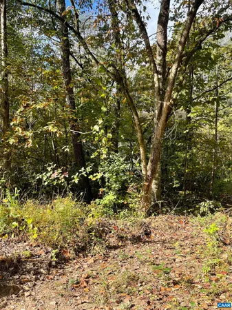 $99,000 | 0 Riverdale Road, Stanardsville, VA 22973