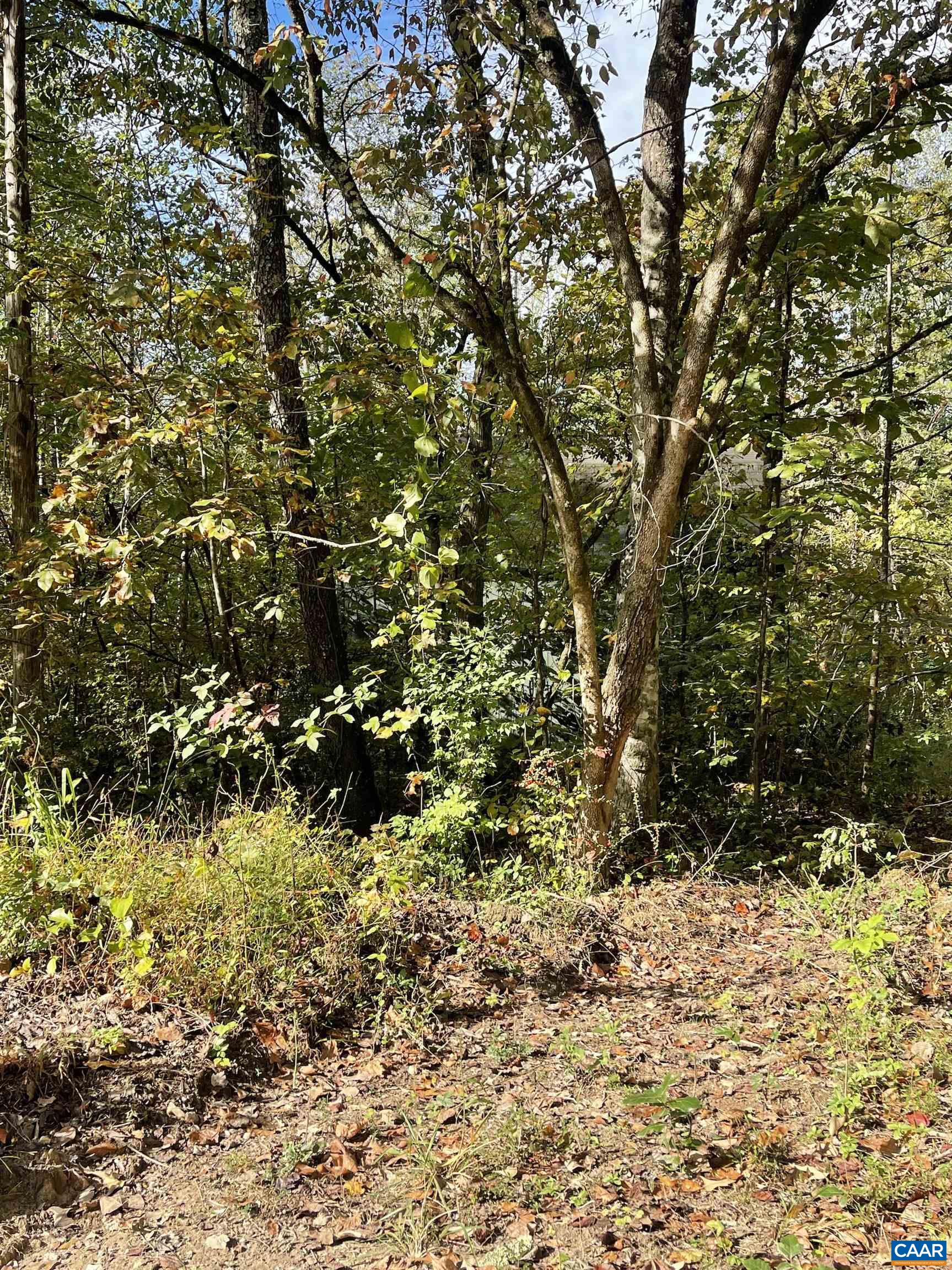 0 Riverdale Road Stanardsville, VA 22973 - Photo 8 of 12