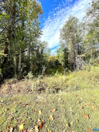 $99,000 | 0 Riverdale Road, Stanardsville, VA 22973