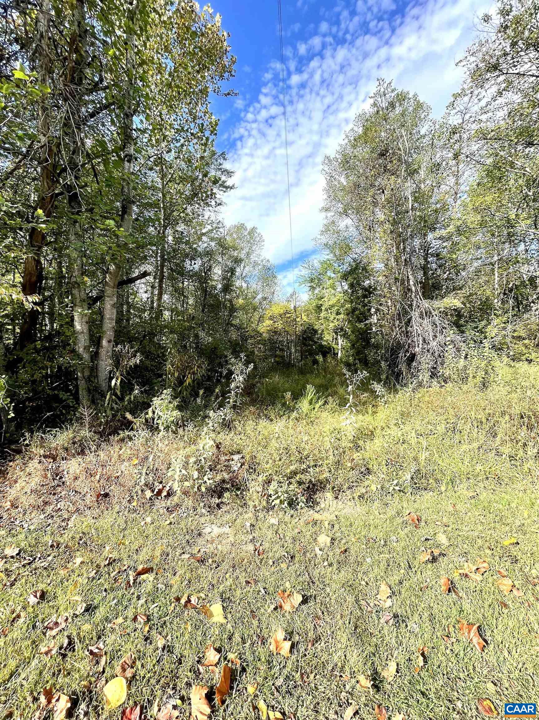 0 Riverdale Road Stanardsville, VA 22973 - Photo 9 of 12 a view of a yard with large trees