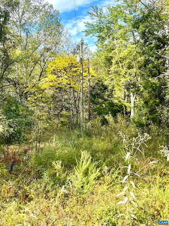 $99,000 | 0 Riverdale Road, Stanardsville, VA 22973